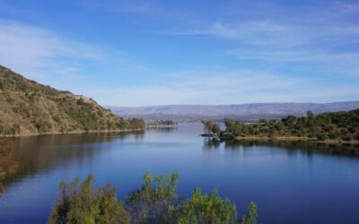 Botox en Córdoba: Elevación Natural y Precisión Médica